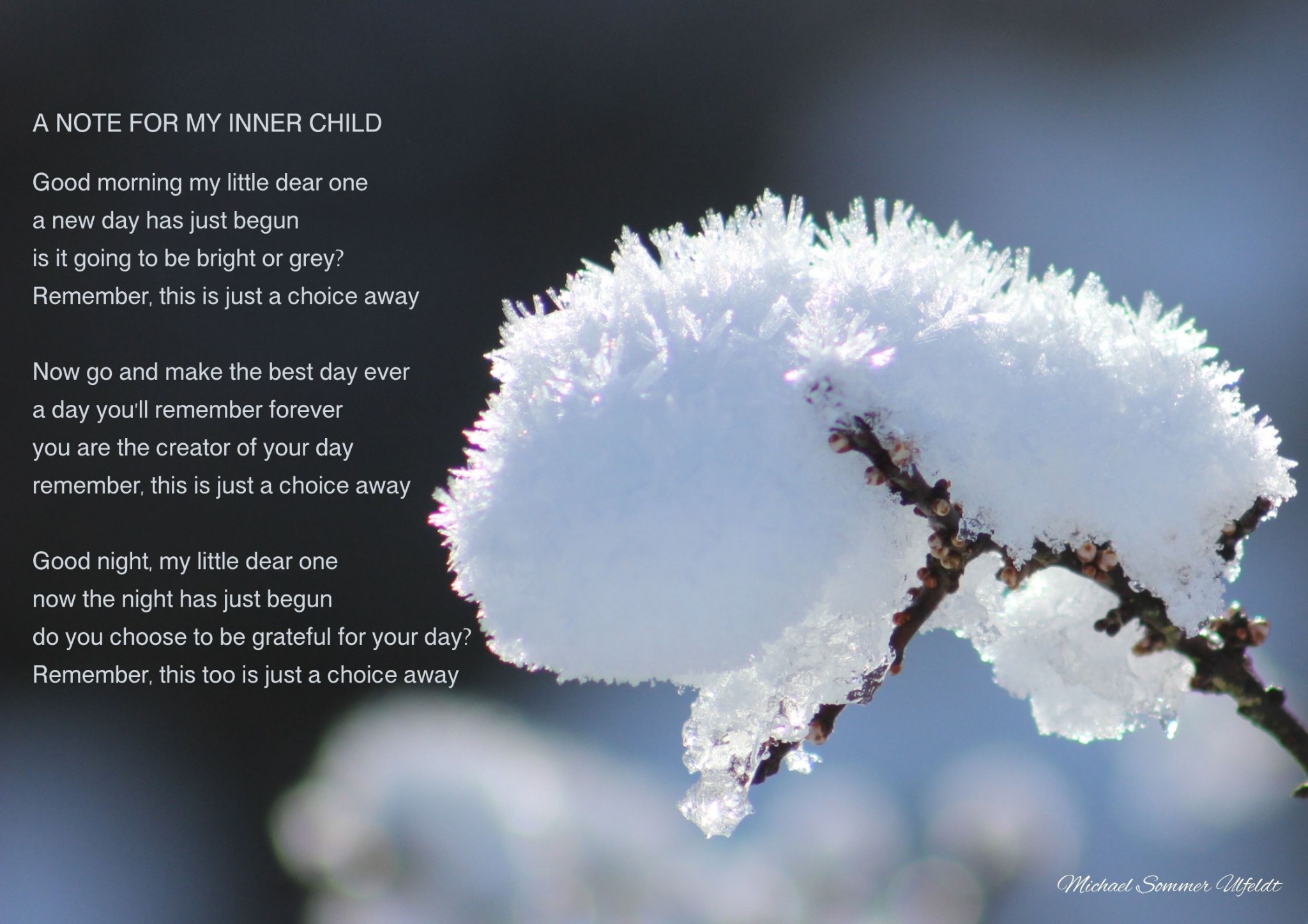 Frost på en gren ved siden af digtet A Note for My Inner Child