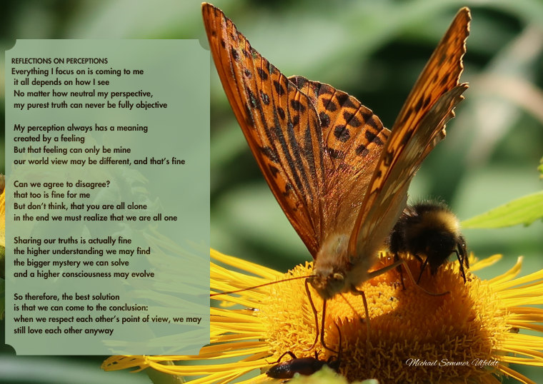 Reflections on Perceptions – En sommerfugl på en gul blomst og et digt om perspektiver, forskellighed og forbundethed.