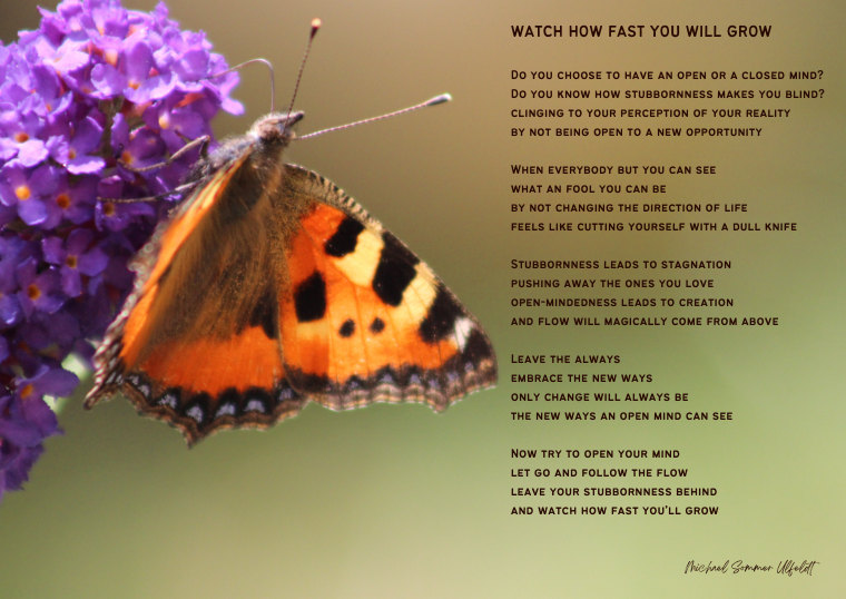 Watch How Fast You Will Grow – En sommerfugl, et åbent sind og en invitation til at følge livets bevægelse.